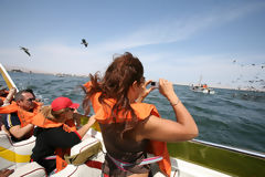 Paracas National Reserve