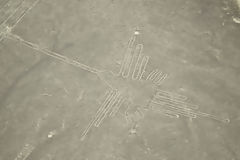 Nazca lines