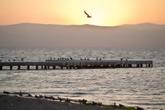 Libertador Hotel in Paracas