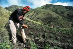 Farmer with chaquitaclla, Calquichico