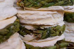 Cheeses at the Arequipa Market