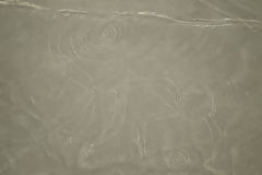 Nazca lines