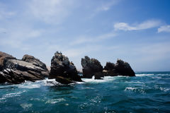 Islet of Palomino Islands, Callao