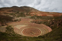 Terraces of Moray