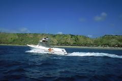 Yacht in the mangroves