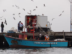 Paracas