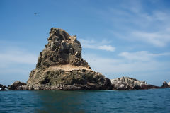 Islet of Palomino Islands, Callao