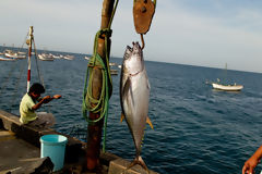 Artisanal Fishing in Los rganos