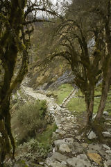 Trekking to Choquequirao