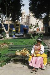 Prickly Pear Vendor