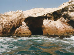 Ballestas Islands, Paracas