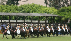 Peruvian Paso Horse Show