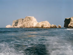 Ballestas Islands, Paracas