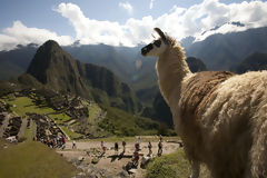 Citadel of Machu Picchu