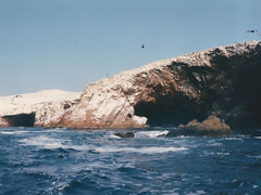 Ballestas Islands, Paracas