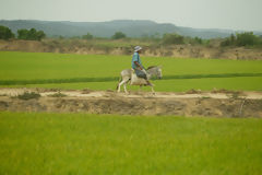 Tumbes Landscape