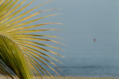 Cabo Blanco Beach