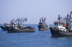 Fishing Boats at the Port, Ilo