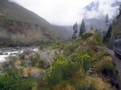 Urubamba River