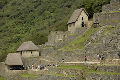 Citadel of Machu Picchu