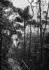 Mountain near Santo Domingo