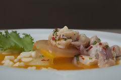 Fish Ceviche