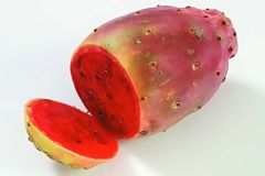 Prickly Pear