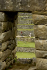 Citadel of Machu Picchu