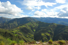 High Jungle Landscape