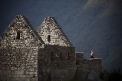 Citadel of Machu Picchu