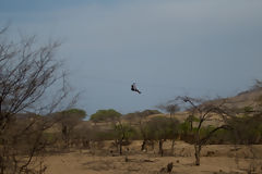 Zip-lining in Mncora