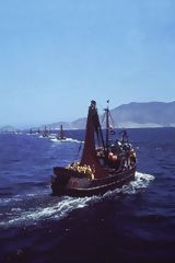 Fishing boats, Lambayeque