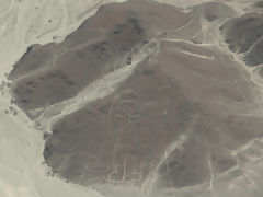 Nazca lines