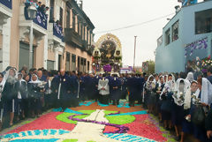 Procession of Seor de Los Milagros