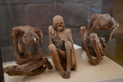 Colla Culture Mummies