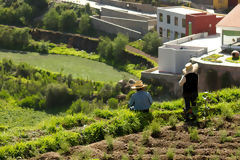 Arequipa Countryside