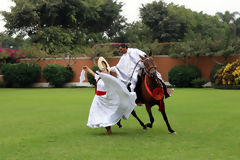 La Marinera and the Paso horse