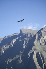 Colca Canyon