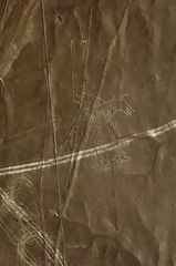 Nazca lines