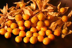 Goldenberry