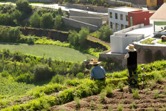 Arequipa Countryside