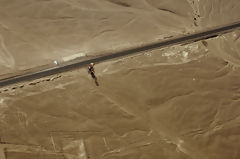 Nazca lines