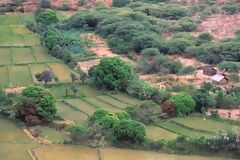 Rice fields in Bongar