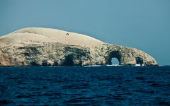 Ballestas Islands, Paracas