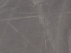 Nazca lines