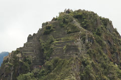 Citadel of Machu Picchu