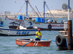 Paracas