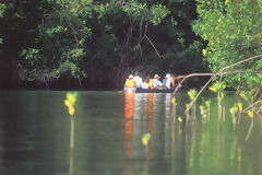 Tourist in the El Bendito Mangrove