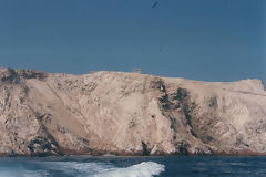 Ballestas Islands, Paracas