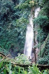 Selva Alta - Waterfall - La Merced